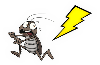 Un simpatico scarafaggio che fugge dal disinfestatore vi da il benvenuto su questa pagina!