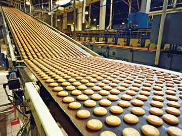 Per la derattizzazzione nelle aziende alimentari bisogna intervenire con conoscenze specifiche.