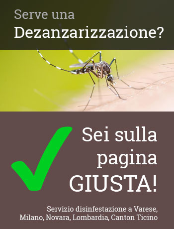 Telefona al numero +39 0332 28 6810 per ricevere un intervento rapido di disinfestazione a Varese e limitrofi.