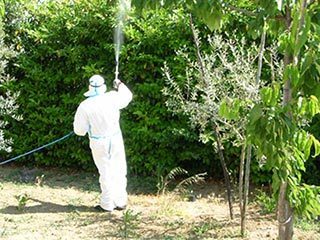 Le zone più a rischio infestazione zanzare sono giardini, aree verdi, parchi etc.